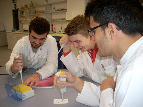 Trockenübungen mit der Mikropipette – gearbeitet word schließlich im Mikroliterbereich