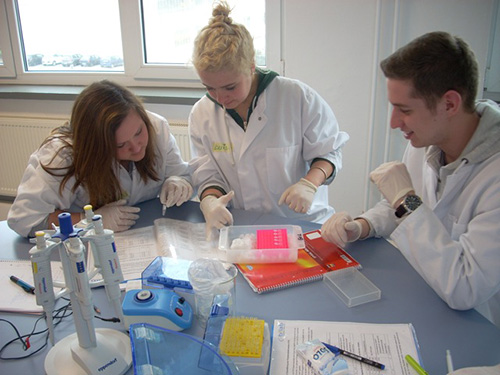 Arbeit im Team  – Fehler dürfen nicht gemacht werden, sonst gibt es kein Ergebnis