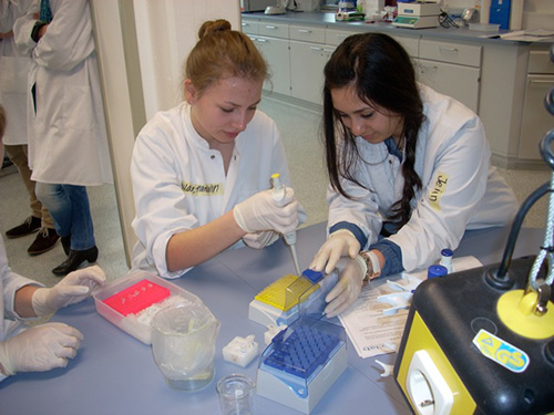 Höchste Konzentration – die Einhaltung der verschiedenen Arbeitsschritte ist dringend zu beachten