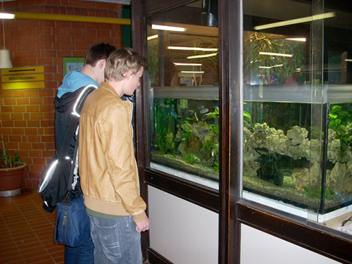 Blindtext Blindtext Blindtext