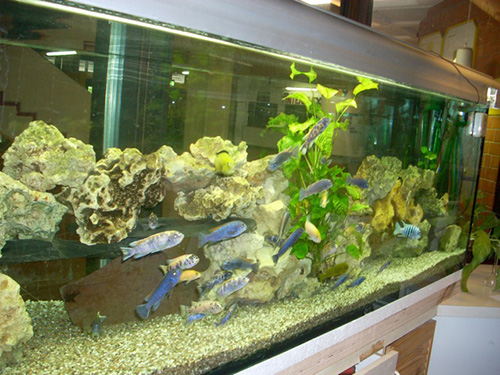 Blindtext Blindtext Blindtext