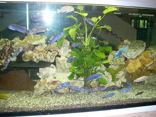 Blindtext Blindtext Blindtext