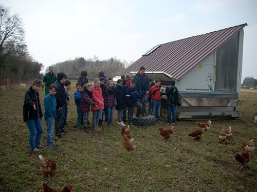 Das Hühnermobil auf der Wiese