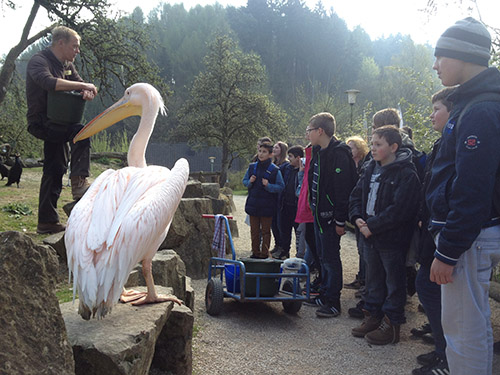Die 5a im Vogelpark