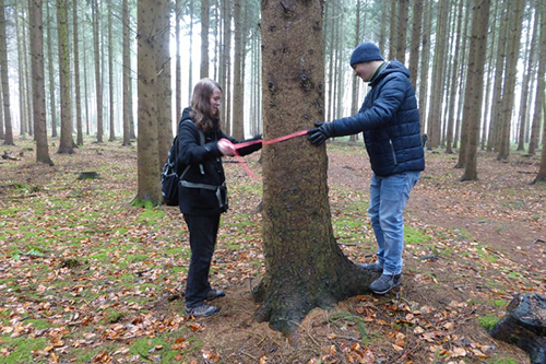 Florian und Nick haben sich für einen Baum entschieden, der herausgenommen werden sollte