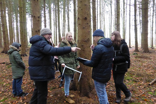Die Daten aller Bäume werden in einer Tabelle aufgeschrieben und ausgewertet, damit ein Waldbesitzer errechnen kann, wie viel Kubikmeter die zum Fällen vorgeschlagenen Bäume ergeben und was er beim Verkauf des Holzes verdienen kann