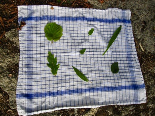 1E035B7F-E927-4053-89FE-742AF963D1DC