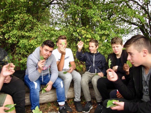 4896D6CB-8F61-4E77-B456-97E3A113EEF5