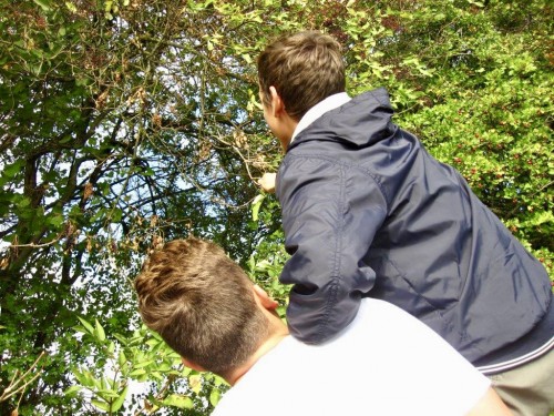 8DE29B9A-BEA2-45D9-A882-652DCD7F6CF9