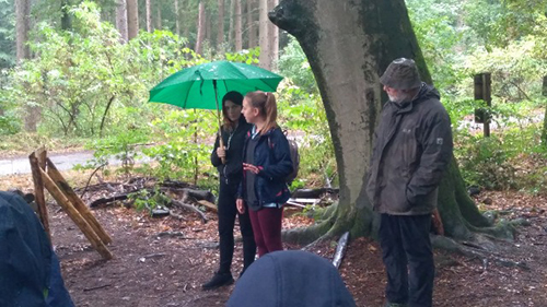 IMG_20180913_101930 (640x360)